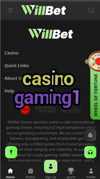 Casino Gaming1 - Premium Casino Software Provider-casinoorder.vip